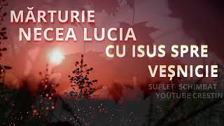 Marturie Sora Necea Lucia  Ingerul Domnului ma salvat din fantana  2023 [upl. by Elleiad138]