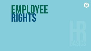 HR Basics Employee Rights [upl. by Gerita296]