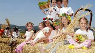 66 Shavuot  Shavuos Kids song [upl. by Asusej]