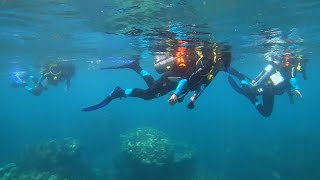 Local Communities Restore Hawaii Coral Reefs [upl. by Enytsirhc582]