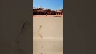 FATHEPUR SIKRI MASJID And AL FALAH MASJID [upl. by Ifar78]