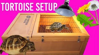 Setting Up My Hermanns Tortoise Enclosure  Zoo Med Tortoise House [upl. by Pufahl]