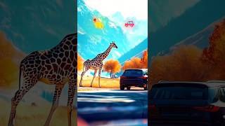 Part 2 Amazing Ai Animal fusion visual animals shorts viral amazing [upl. by Lenahtan]