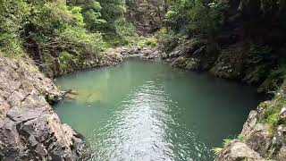 Cossey gorge Track from Cosseys Dam to Hunua Falls [upl. by Aliehs737]