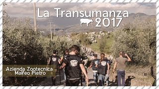 La Transumanza 2017Azienda Malfeo [upl. by Nilra]