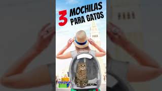 MOCHILAS PARA GATOS 😺 TOP 3 PARA TRANSPORTAR A TU GATO FELIZ shorts [upl. by Paget]