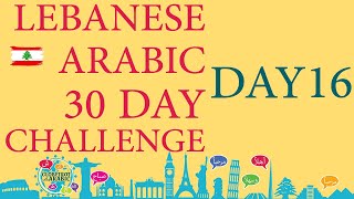 LEBANESE ARABIC BEGINNERS LESSON  LEVANTINE ARABIC  DIALECT  PHRASES AND SENTENCES DAY 16 [upl. by Mcneil]