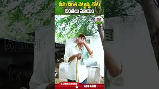 ఎనకట ఎక్కడబడితే అక్కడుండేవి ఈ చెట్లు చాలా ప్రొటీన్స్ ఉండే కాయలు దీనివి   ABN Agri shorts [upl. by Nordin349]