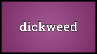 Dickweed Meaning [upl. by Ialda456]