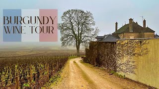 Burgundy France Wine Tour  Best Pinot Noir amp Chardonnay In The World [upl. by Concepcion]