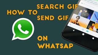 How to Search GIF and Send GIF on WhatsApp [upl. by Cash734]