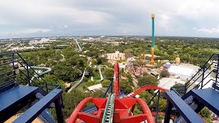 SheiKra Front Row POV Ride at Busch Gardens Tampa Bay on Roller Coaster Day 2016 Dive Coaster [upl. by Alaehs]