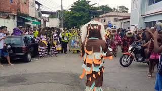 🔴Folia de Reis  Abertura Jornada Lua Nova BSF [upl. by Moitoso]