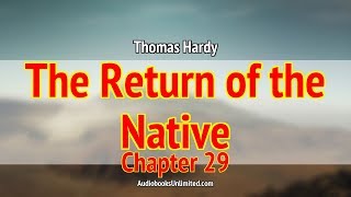 The Return of the Native Audiobook Chapter 29 [upl. by Staw]