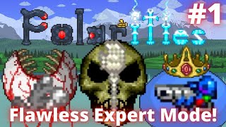 NoHits No Weapons and No Luck Terraria Polarities Mod Flawless Expert Mode Playthrough 1 [upl. by Rebor]