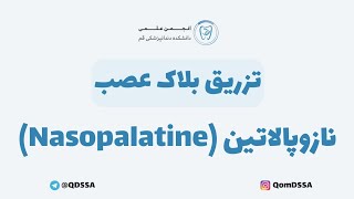 تزریق بلاک عصب نازوپالاتین Nasopalatine  دکتر اشکان بادکوبه [upl. by Mylo189]