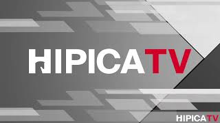 Hípica TV Livestream  Sabado 12 de Octubre 2024 [upl. by Enajharas]