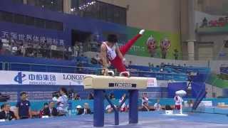 Kohei Uchimura  Seitpferd  Nanning 2014  Wertung nach CdP 2013 V2 [upl. by Chow323]