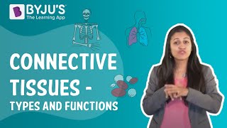 Connective Tissues  Types And Functions I Class 9 I Learn with BYJUS [upl. by Meares486]