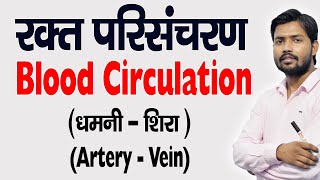 Blood Circulation  रुधिर परिसंचरण  Artery  धमनी  Veins  शिरा  in Hindi [upl. by Lehcear]