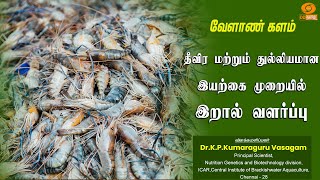 🔴Live  தீவிர மற்றும் துல்லியமான இயற்ககை முறையில் இறால் வளர்ப்பு [upl. by Adnilev]