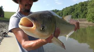 SNAGGING SILVER CARP USING 50 TREBLE HOOK 71020 [upl. by Giff]