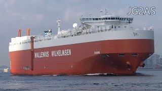 Shipspotting Japan  MV TIRRANNA 自動車船 Vehicles carrier Wallenius Wilhelmsen 2018APR [upl. by Demetria]