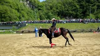 ESIBIZIONE A CAVALLO MONTA AMERICANA  158FIERA SPIO A ROCCAFORTE MONDOVICN 7  5  2017 [upl. by Fakieh]