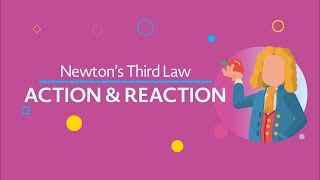 Action and Reaction Newton’s Third Law updated [upl. by Eseret]