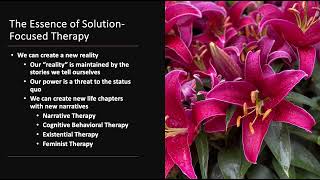 The Essence of SolutionFocused Therapy [upl. by Assyla]