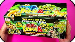 FROGS amp CO Figures Ƹ̴Ӂ̴Ʒ FULL BOX DeAgostini BLIND BAG UNBOXING [upl. by Arayk]