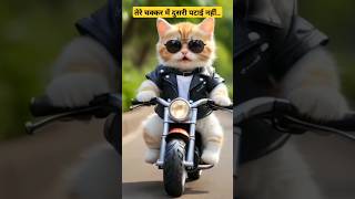 तेरे चक्कर में दुसरी पटाई नहींCat shortvideo ytshorts viralvideo viralsong [upl. by Dorca640]