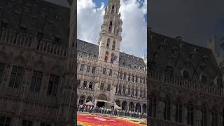 GrandPlace Brussels Belgium 🇧🇪grandplace brusselsbelgium belgium [upl. by Bromley985]