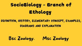 Sociobiology  Branch of Ethology bsczoology msczoology ethology [upl. by Cam115]