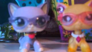 My Lps Collection cats and dogs [upl. by Ahsenom]