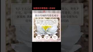 广州碧莹化妆品有限公司直销，确保正品假一赔十！花小钱买大品牌 [upl. by Seerdi293]