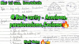 body cavity Aceolome pseudoceolome Ceolome 🔥🔥✍️invertebrateHindi Notes 🔥🔥📝📝✨✨✨✨✍️✍️✍️ [upl. by Anyahc]