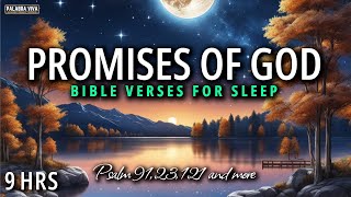 The Most Powerful Verses From the word of God  Bible reading  12 HRS [upl. by Matthaus]