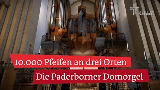 Domorgel im Paderborner Dom Blick hinter die Kulissen der drittgrößten Orgel Deutschlands [upl. by Avera194]