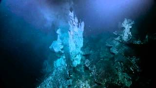 Gigantic Elaborate Hydrothermal Vents off British Columbia  Nautilus Live [upl. by Austin]