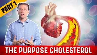 The Real Purpose of Cholesterol – DrBerg on Cholesterol levels Part 1 [upl. by Enetsuj]