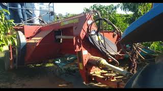 Colheita semimecanizada de Café Conilon Robusta em Rondônia [upl. by Garner789]