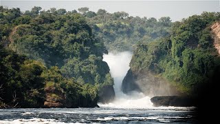 Murchison Falls National Park  Uganda  Cinematic Film [upl. by Repinuj]