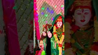 amba mazi chan आंबा माझी छान amba mazi chan dj ganpati songs dj rushi devi song halgi dj song [upl. by Seabury]