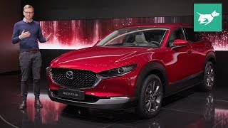 Mazda CX30 2020 review walkaround [upl. by Hahsi]