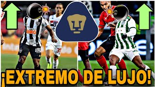 ✅DE LUJO🔥EL REMPLAZO DE TOTO SALVIO  LLEGARIA A PUMAS  REFUERZOS PUMAS 2024 [upl. by Ilysa]