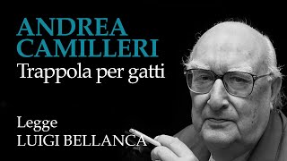 Andrea Camilleri  Trappola per gatti  10° racconto da “Un mese con Montalbanoquot [upl. by Peters]