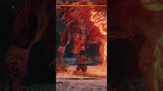 ICHIMONJI💀 VS TRUE MONK👺 sekiro sekirobosses [upl. by Nylhtac79]