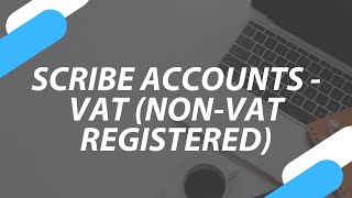 Scribe Accounts  VAT NonVAT Registered [upl. by Nnalyrehs711]