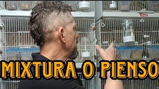 PIENSOS o MIXTURAS para CANARIOS TIMBRADOS 🤷🎶 [upl. by Gean]